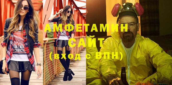 индика Медвежьегорск