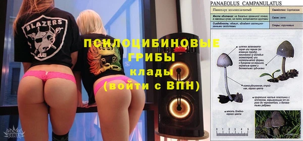 2c-b Абаза