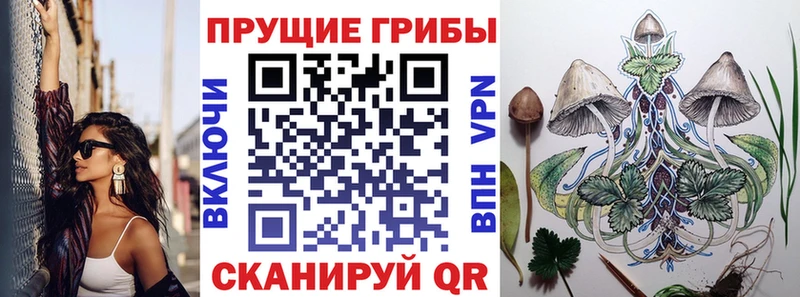 Галлюциногенные грибы MAGIC MUSHROOMS  где продают наркотики  OMG ТОР  Рязань 