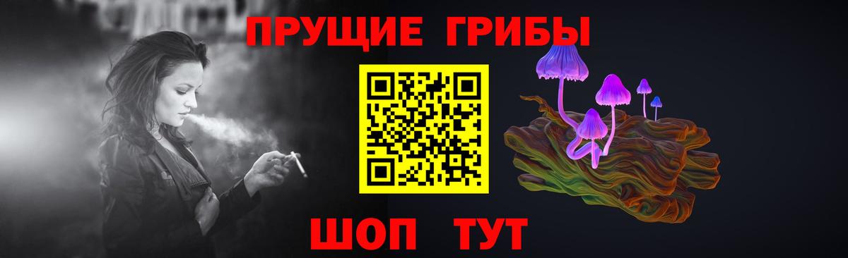 Галлюциногенные грибы MAGIC MUSHROOMS  где купить   Рязань  Вход с VPN 